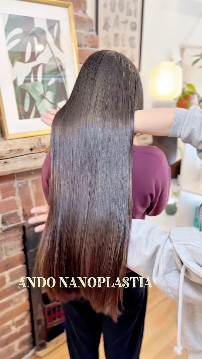 ANDO Salon client work: Nanoplastia